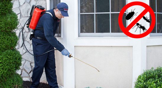 Arpaçay Sivrisinek İlaçlama böcek ilaçlama ve haşere kontrolü — ilaclama-tr.com